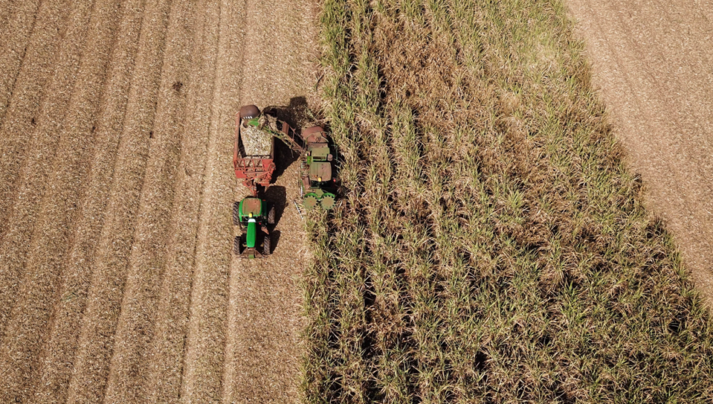 VBP Agropecuário do Paraná cresce 11% em 2023 e alcança R$ 197,8 bilhões