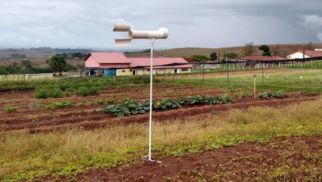 Pesquisadores do Paraná usam Inteligência Artificial para combate da ferrugem da soja