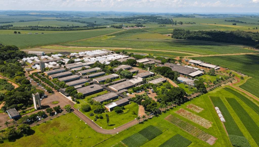 Embrapa Soja celebra 50 anos comemorando sucesso da soja no Brasil