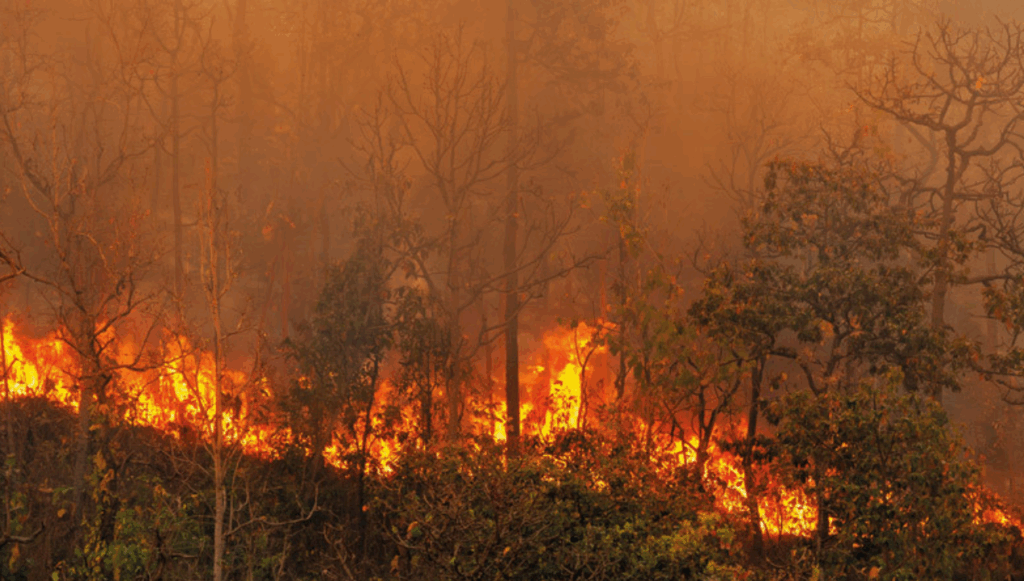 Sistema FAEP reforça combate a incêndios com novos instrutores