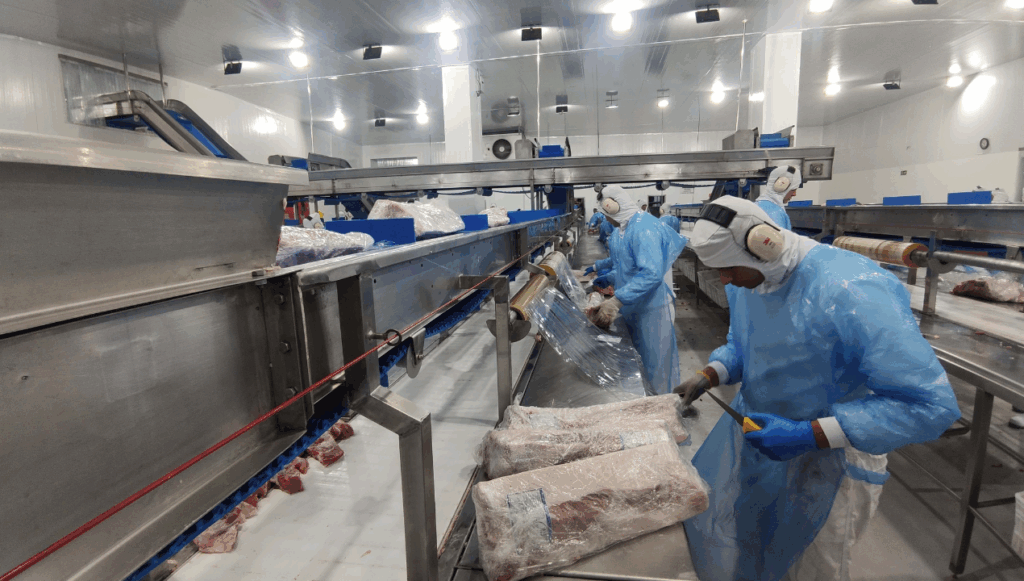 Supermercado do mundo: Paraná exporta mais alimentos que países como Japão, Portugal e Coreia do Sul